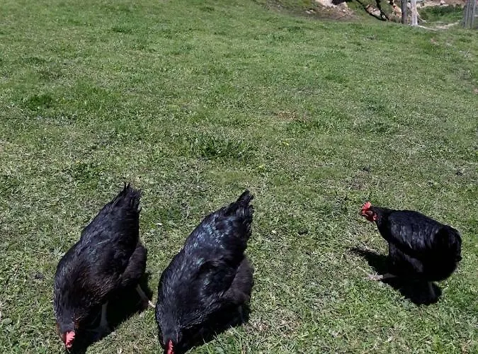 El Ponton De Lanchares